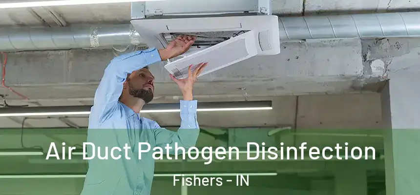  Air Duct Pathogen Disinfection Fishers - IN