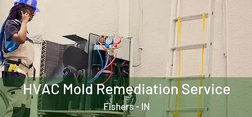  HVAC Mold Remediation Service Fishers - IN