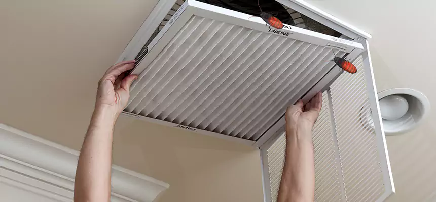 Preventive Cockroach-Proofing for Ducts in Fishers