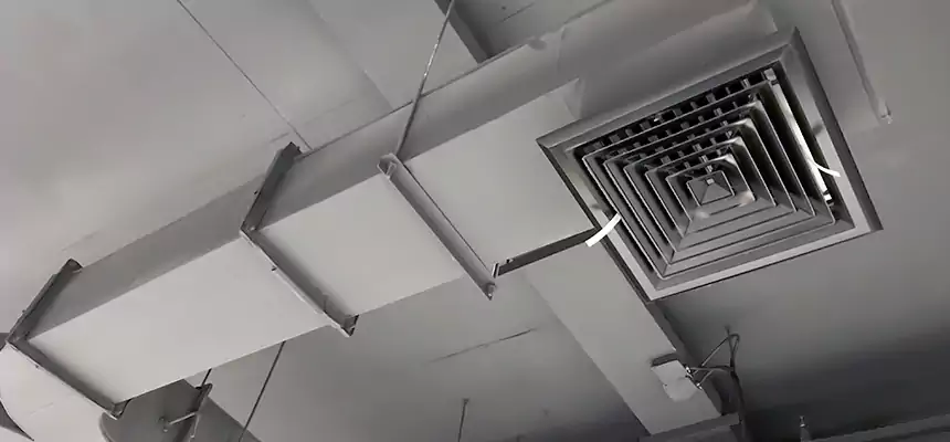 Restorative Allergy Relief Vent Cleaning – Coil, Blower & Housing Detail in Fishers