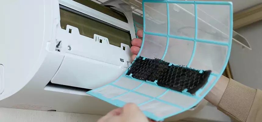 Gentle Ductwork Odor-Control Pet Dander Duct Cleaning in Fishers, IN