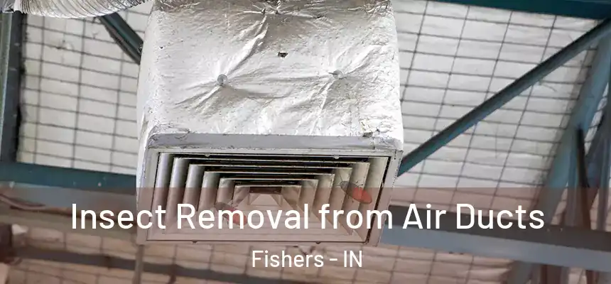 Insect Removal from Air Ducts Fishers - IN