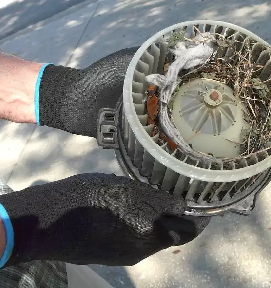 About Air Duct Rat Removal in Fishers, IN