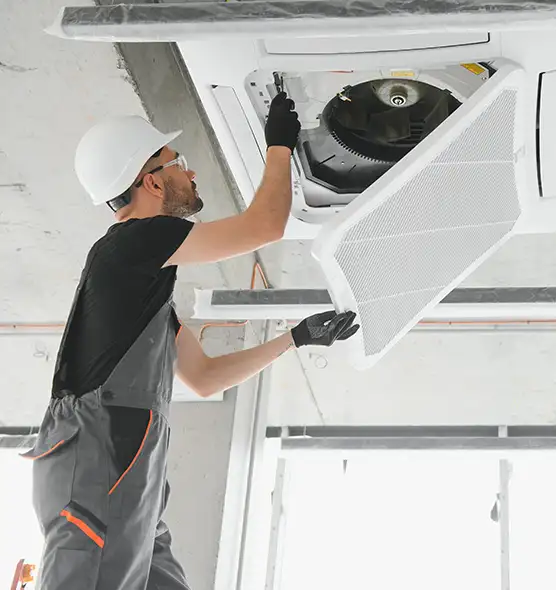 About Air Duct Rodent Removal in Fishers, IN