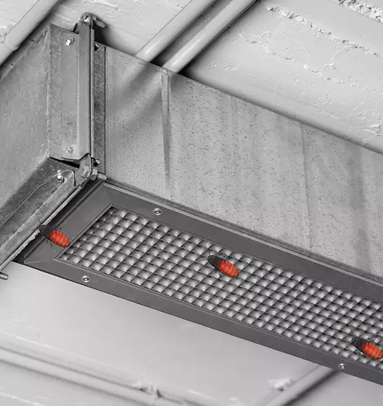 Affordable Insect Removal from Air Ducts in Fishers, IN