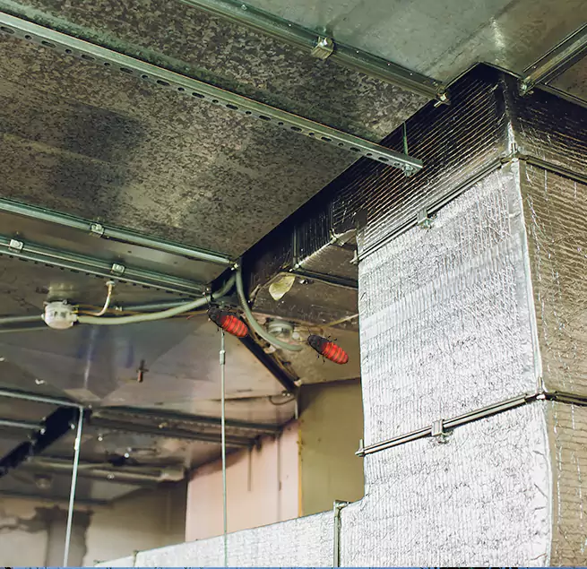 Why Homeowners & Businesses Trust Us in Fishers, IN?