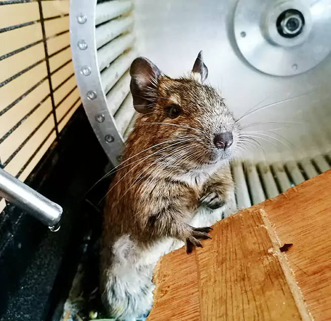 Why Homeowners & Businesses Trust Us Fishers, IN