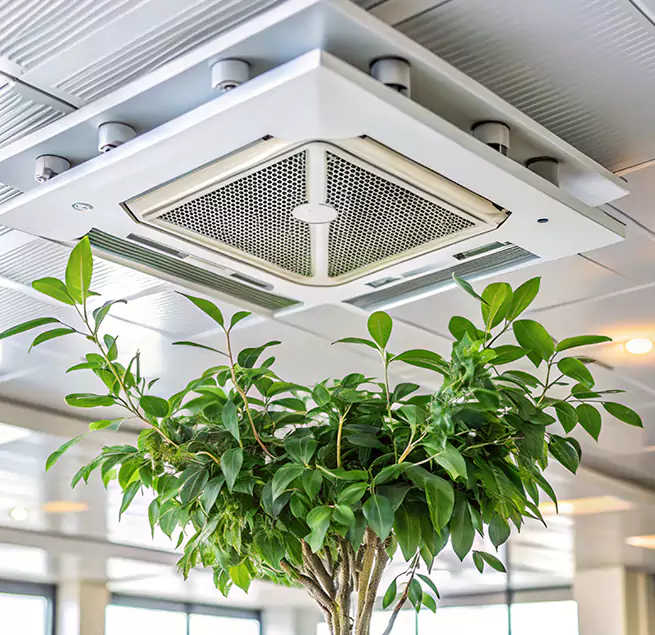 Why Homeowners & Businesses Trust Us in Fishers, IN?